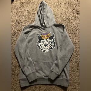 UW Gray Hoodie with Husky Graphic